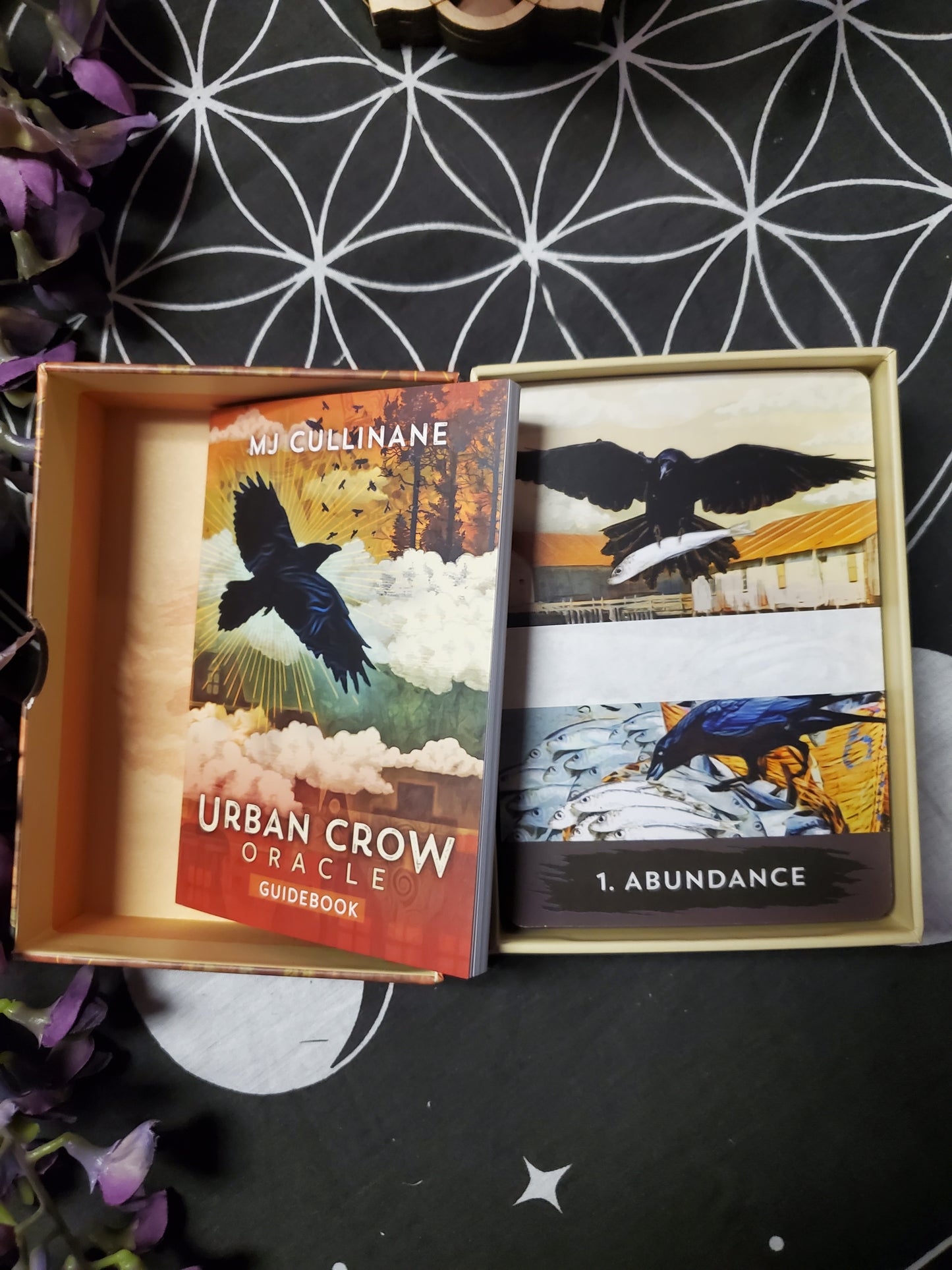 Urban Crow Oracle: A 54-Card Deck and Guidebook