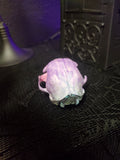 Watercolor Cat Skull