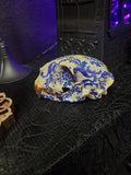 Delft Bobcat Skull