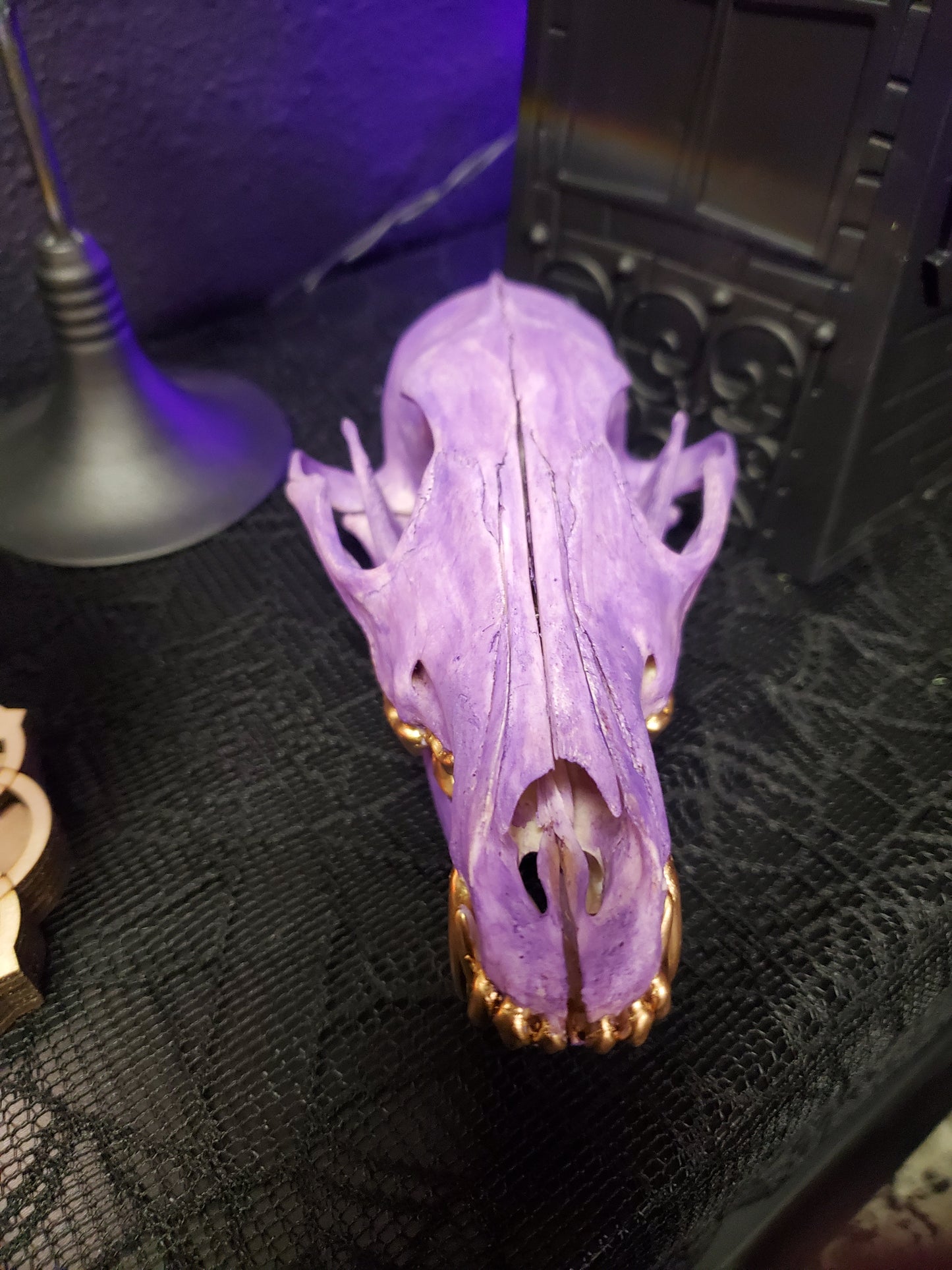 Purple Coyote Skull