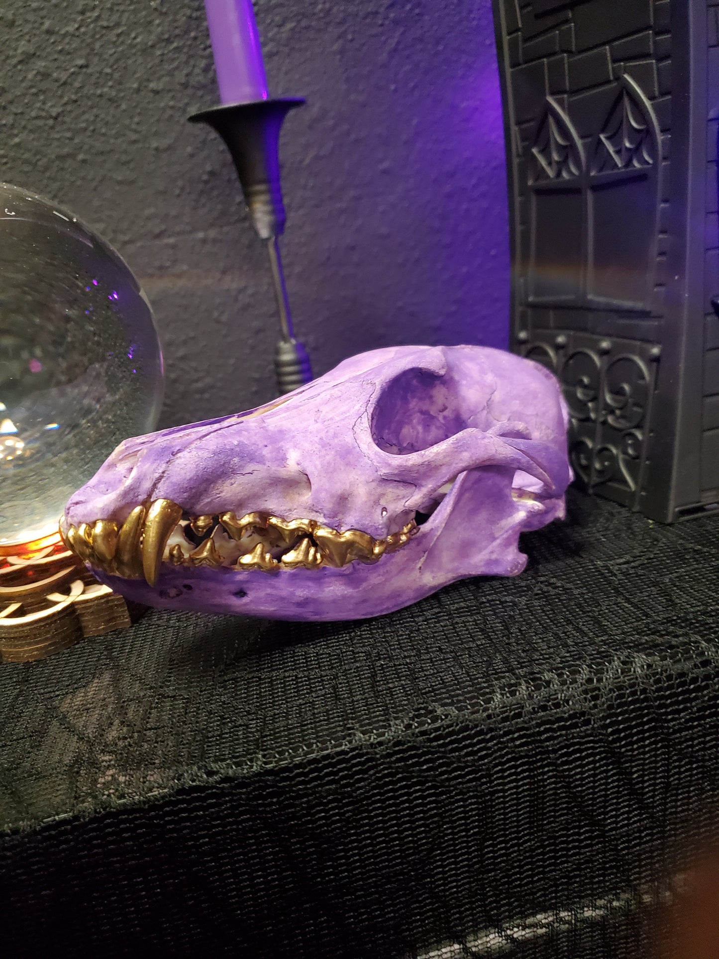 Purple Coyote Skull