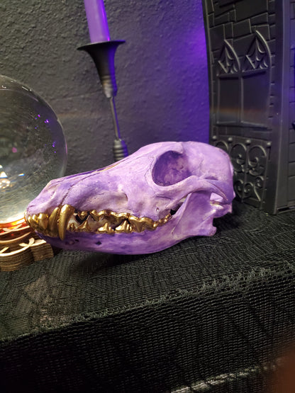 Purple Coyote Skull