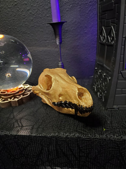 Gold Coyote Skull