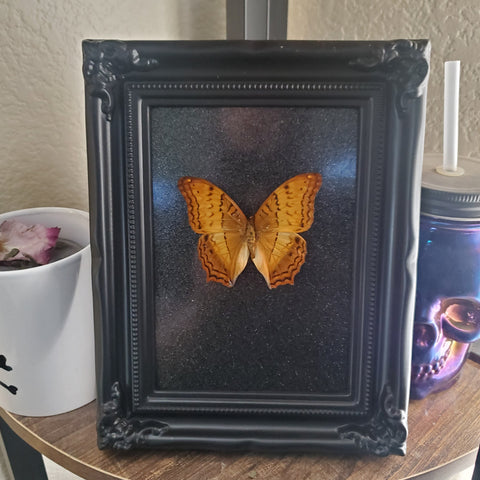 Black Glitter Orange Butterfly 5x7 Frame