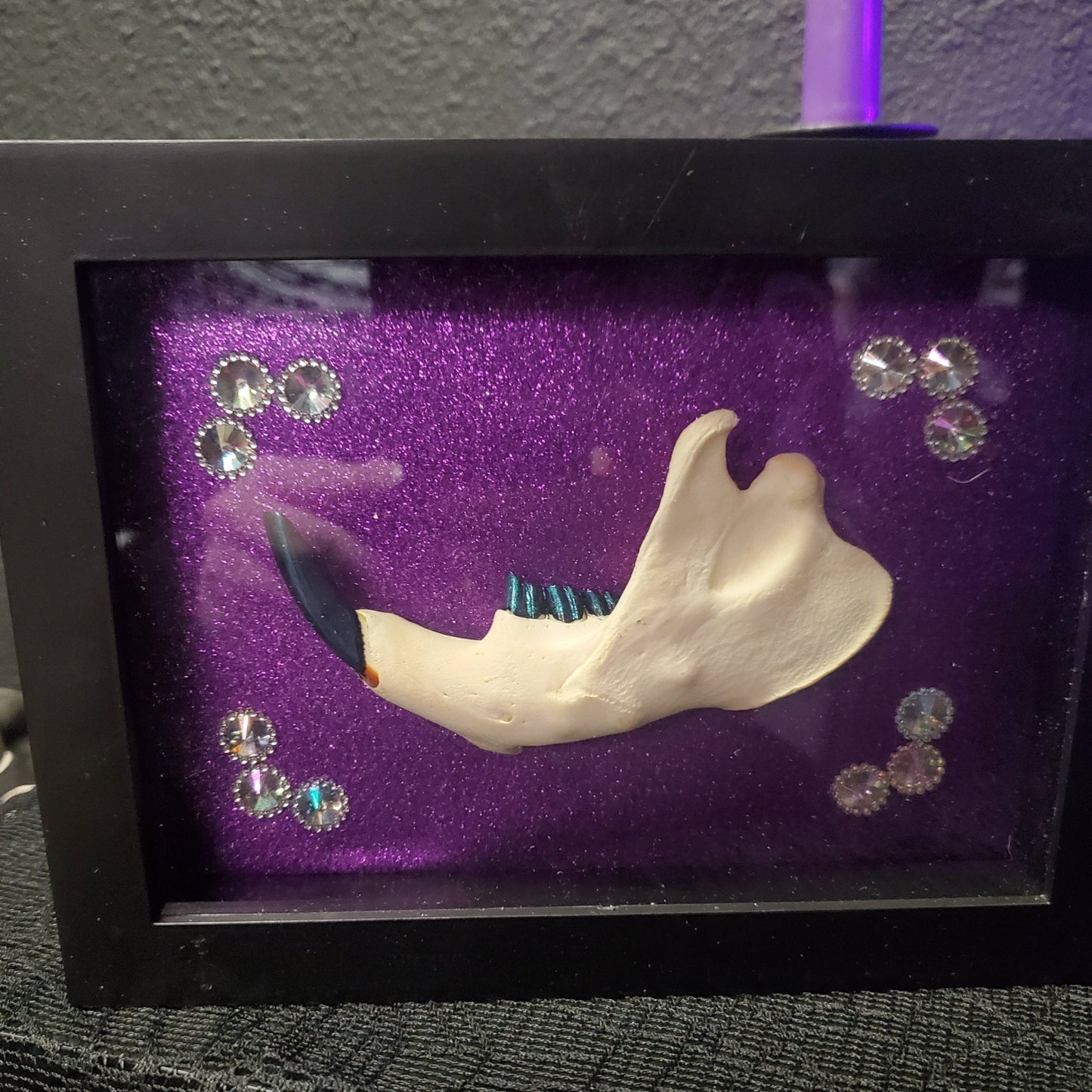 Beaver Jaw Purple Glitter Shadow Box