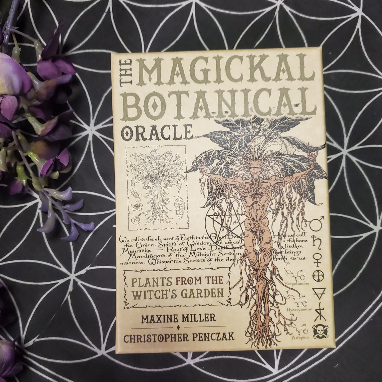 The Magickal Botanical Oracle: Plants from the Witch's Garden