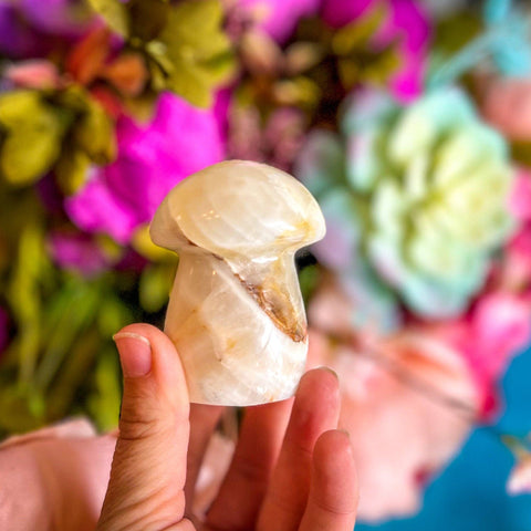 Agate Crystal Mushrooms