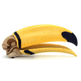 Toucan Skull