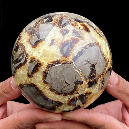 Septarian Dragon Stone Sphere