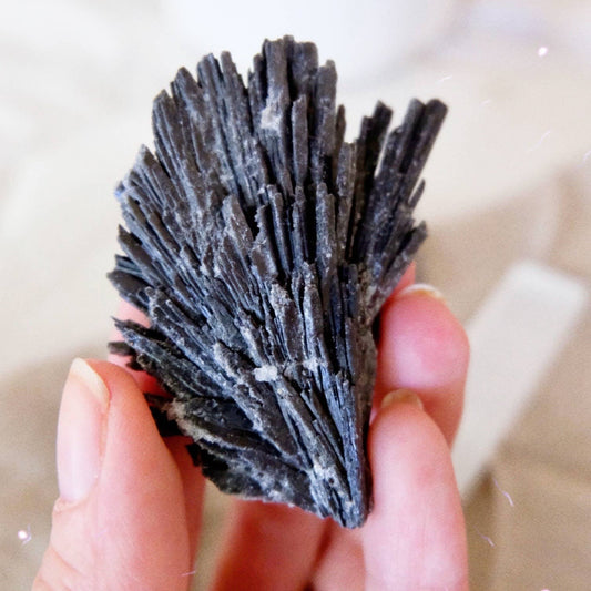 Raw Black Kyanite