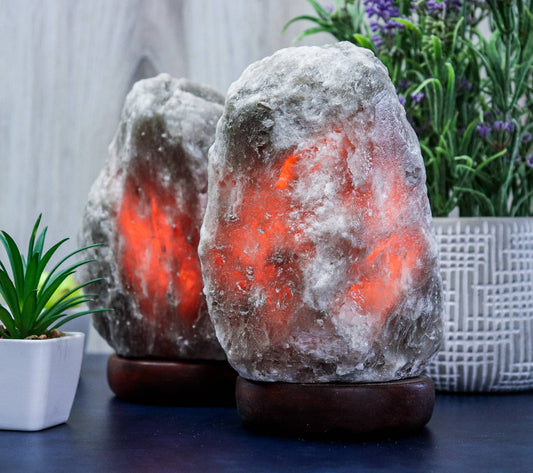 Natural GRAY Himalayan Salt Lamp - 6-8 Lbs