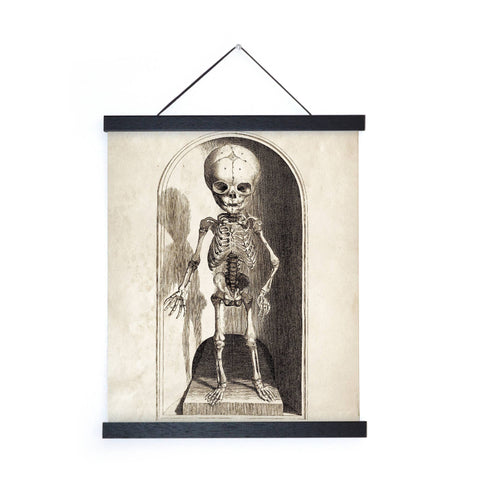 Vintage Anatomy Small Skeleton Print w/ frame