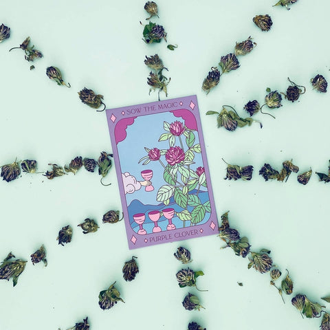 Purple Clover Tarot Garden + Gift Seed Packet