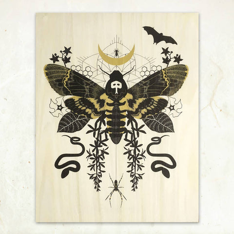 Hawk Moth Small Wood Print