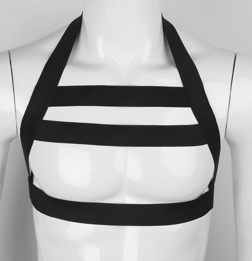 Linear Harness